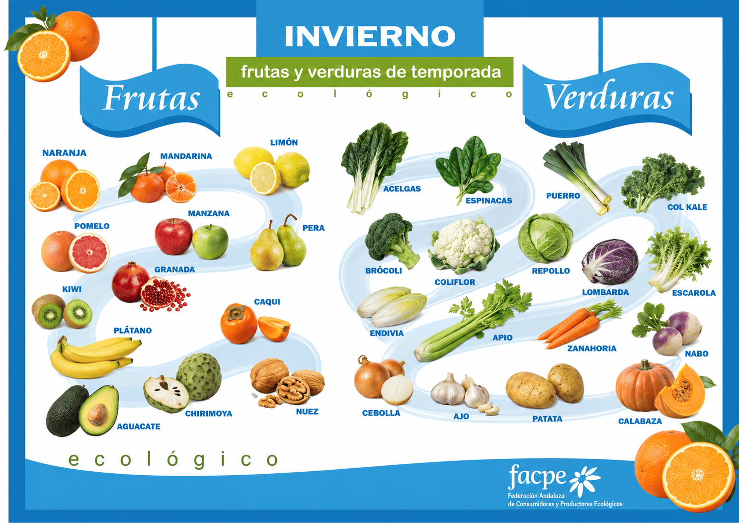 Frutas y verduras de temporada en invierno